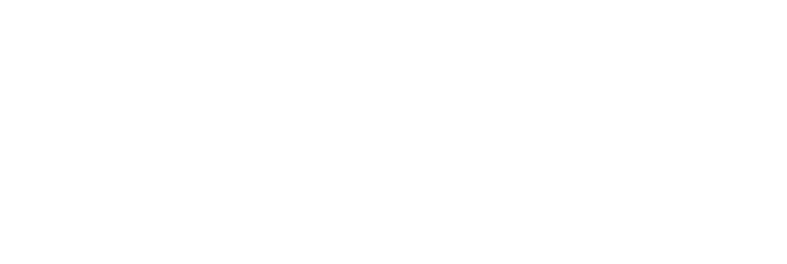 Peapen International Travels and Consult logo